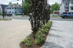 Landscaping-11