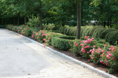Landscaping-26