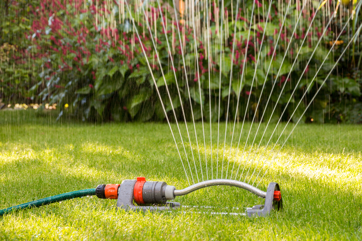 Lawn sprinkler watering the lawn