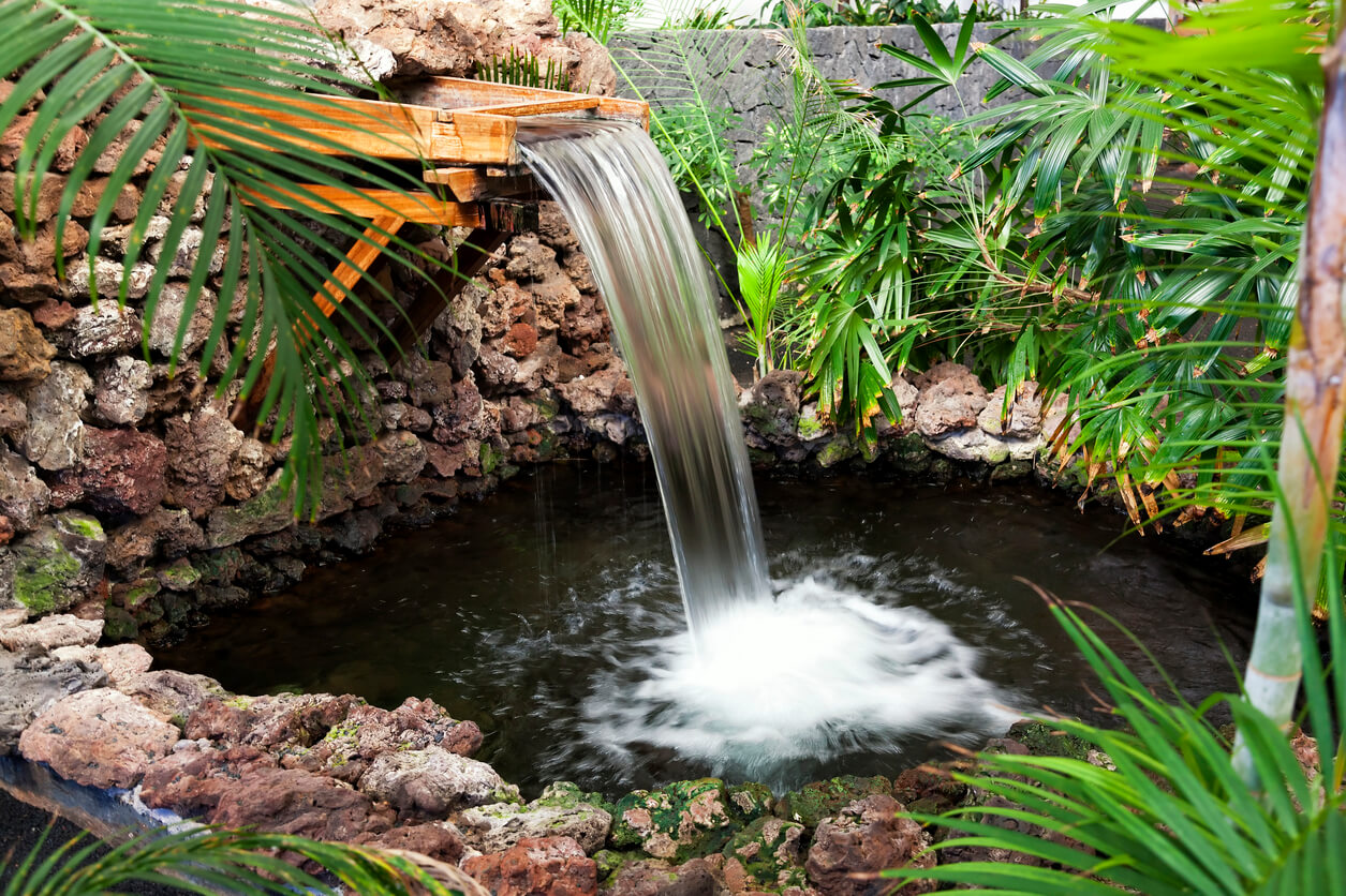 pond with fountain in it