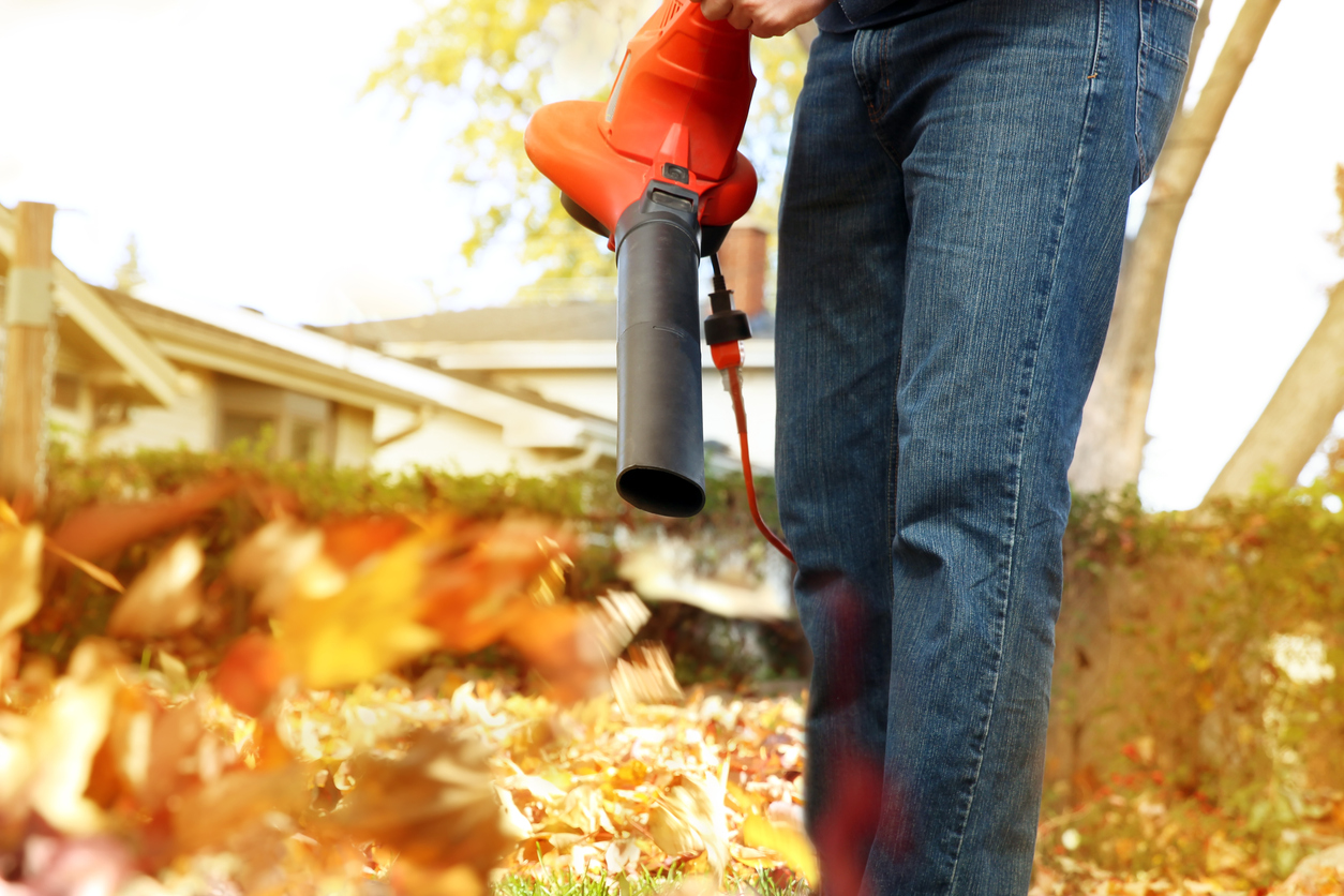 removing leaves from the lawn in the fall