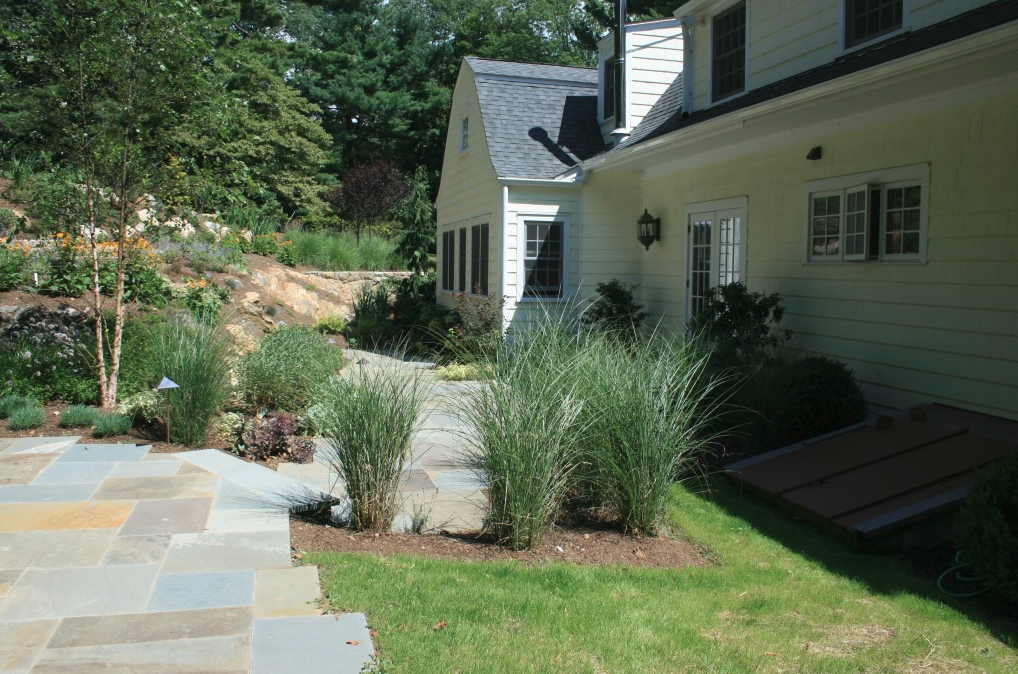 Tall grass next to stone patio