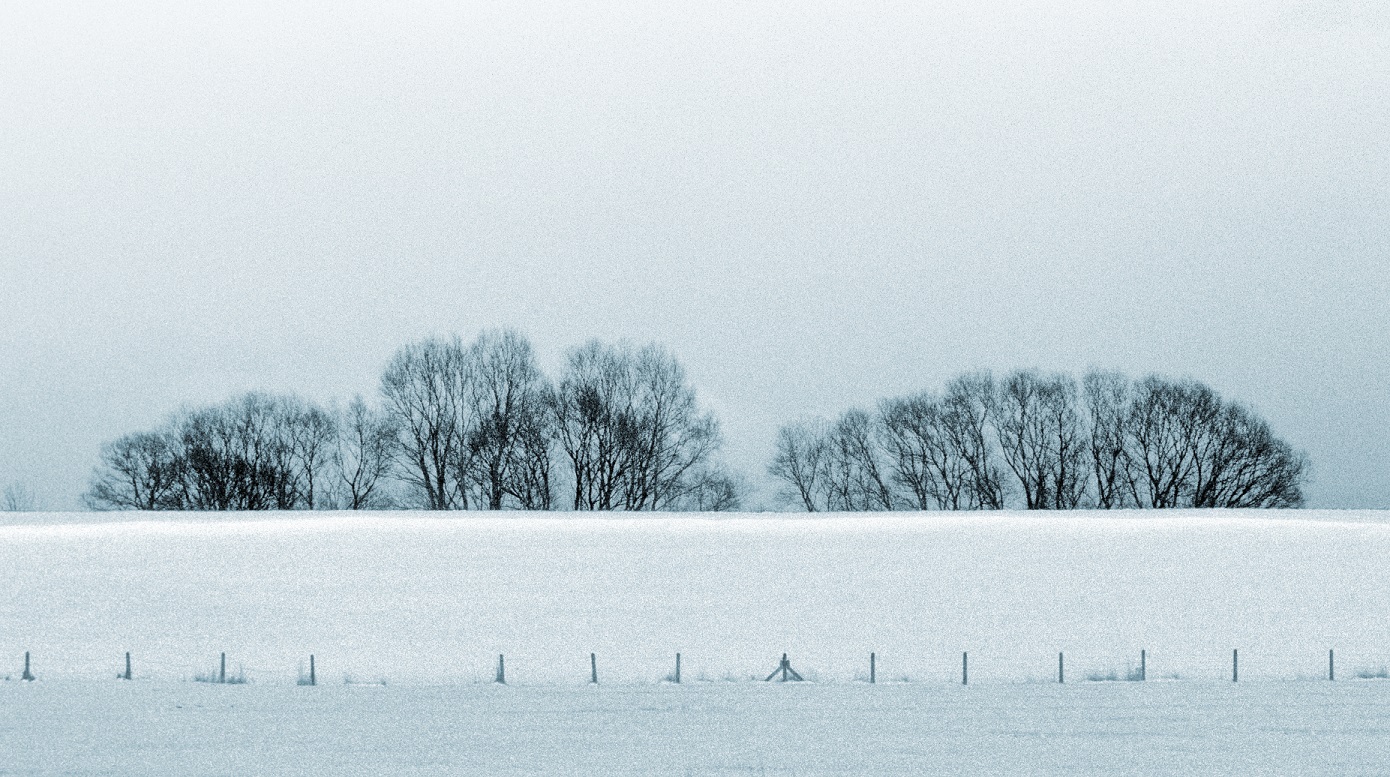 Snowy landscape with bare trees