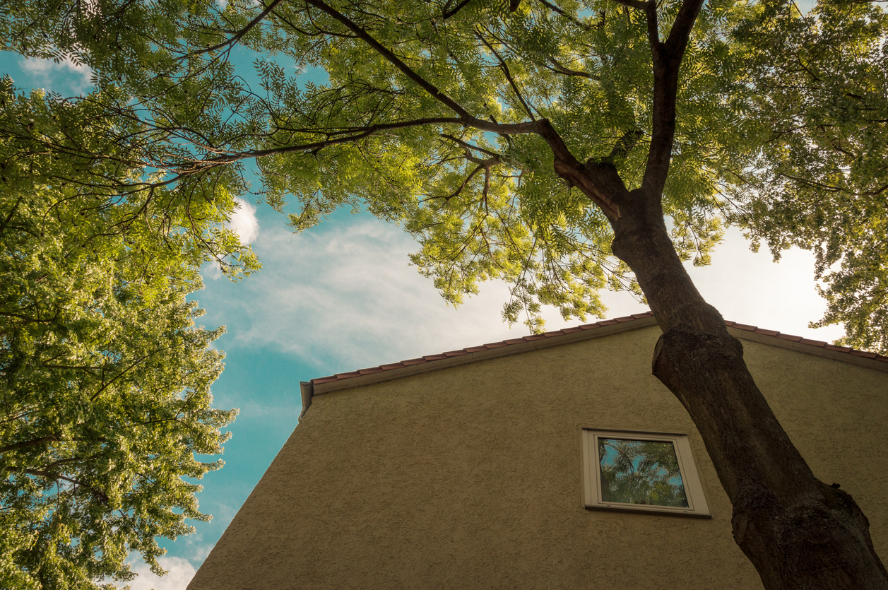 View of an apartment building from down below.