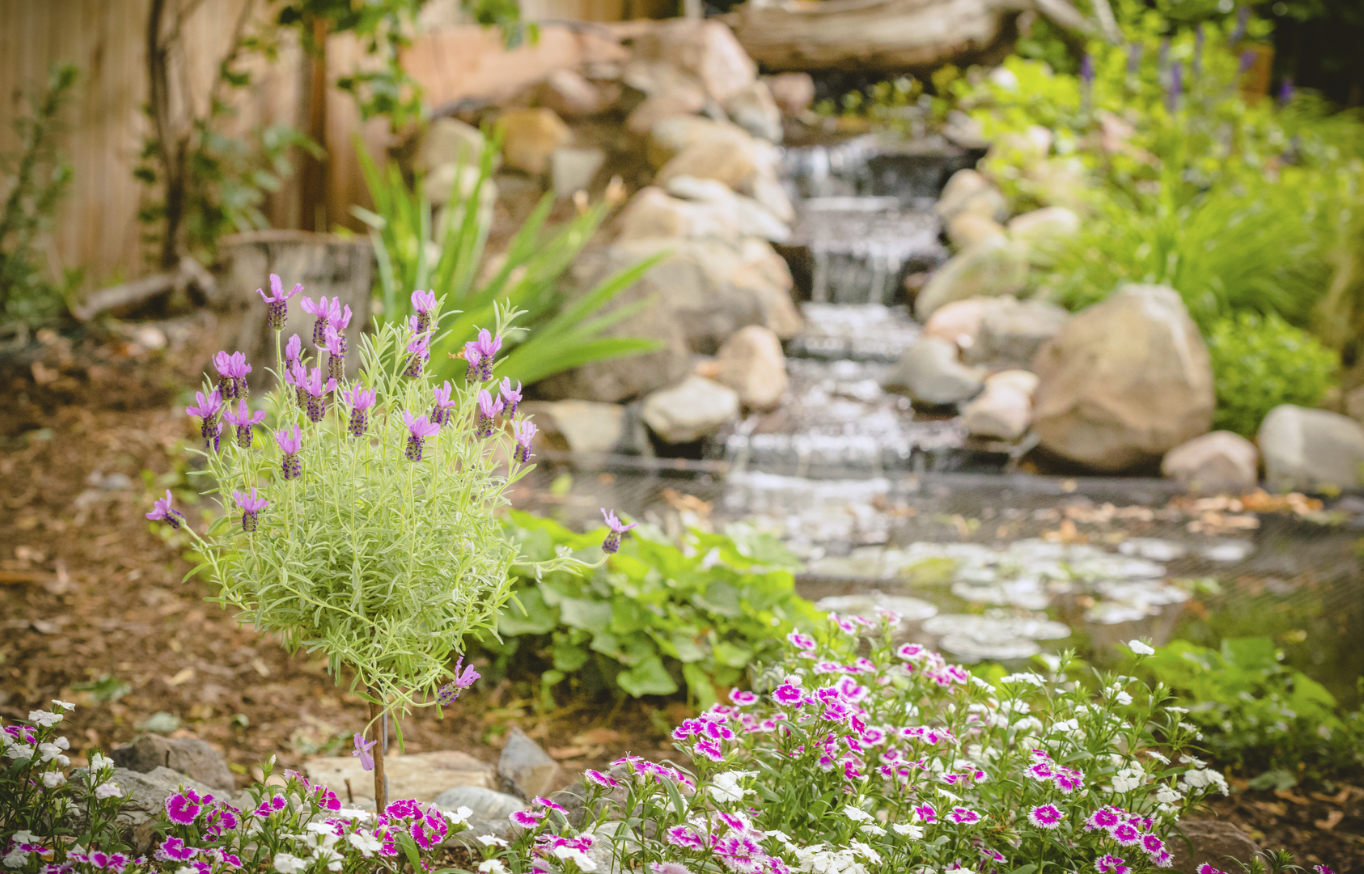 A waterfall feature in a backyard by Ambrosio Landscape Solutions