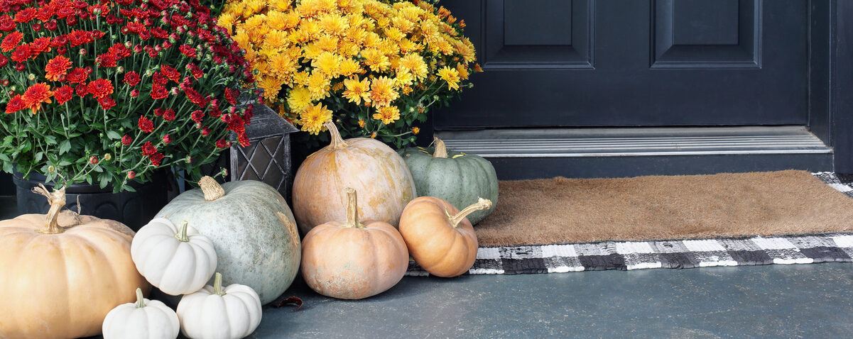 Heirloom white, orange and grey pumpkins with colorful mums sitting by front door.