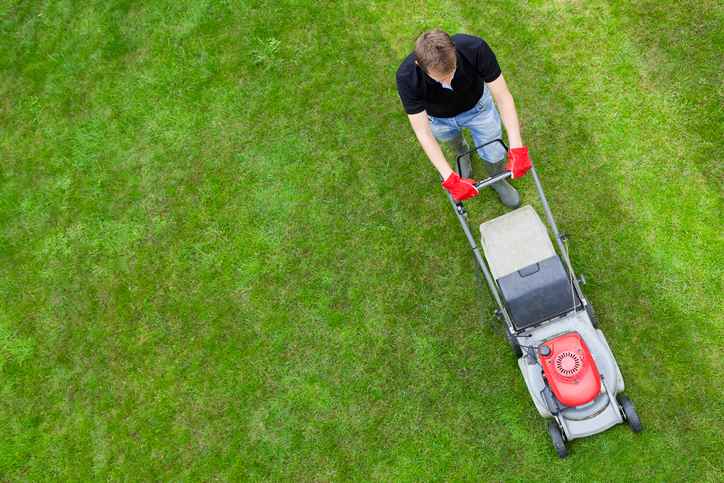 An overhead view of a man mowing a green lawn. The man is wearing a black T-shirt, blue jeans and gray boots. He is wearing a pair of red gloves. The lawn mower is red and light gray with a part that is dark gray.