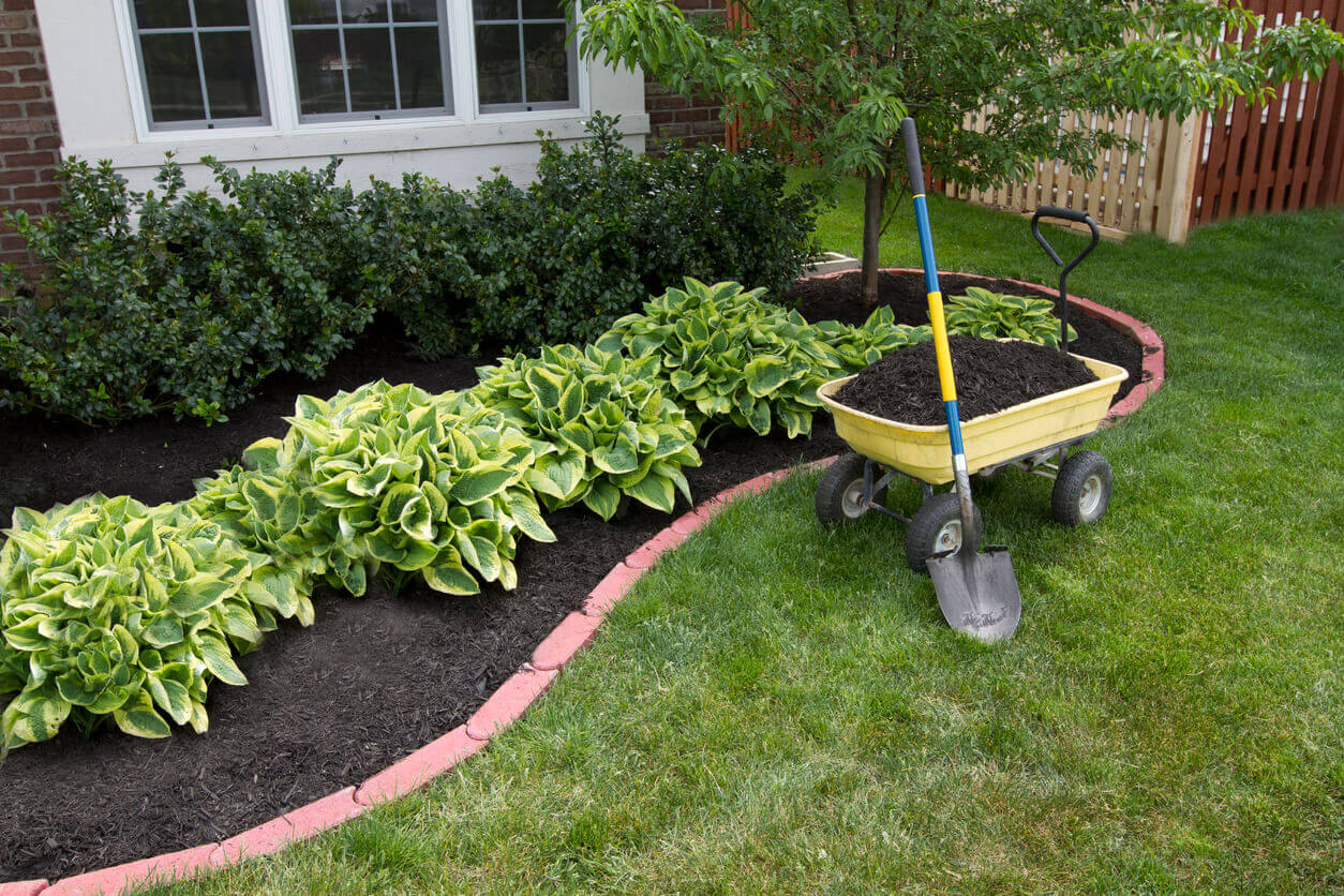 Mulching bed around the house and bushes, wheelbarrel along with a showel.