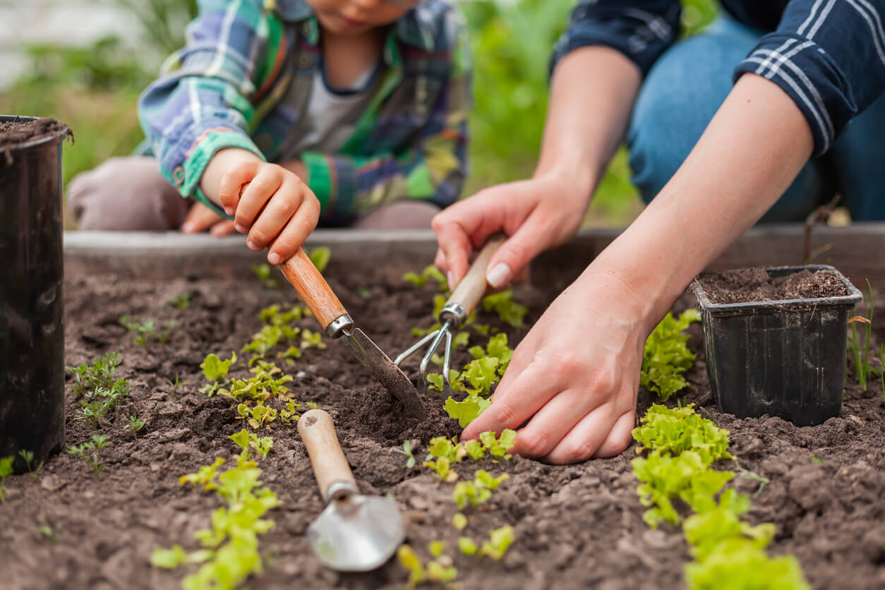 Child and mother gardening in vegetable garden in the backyard