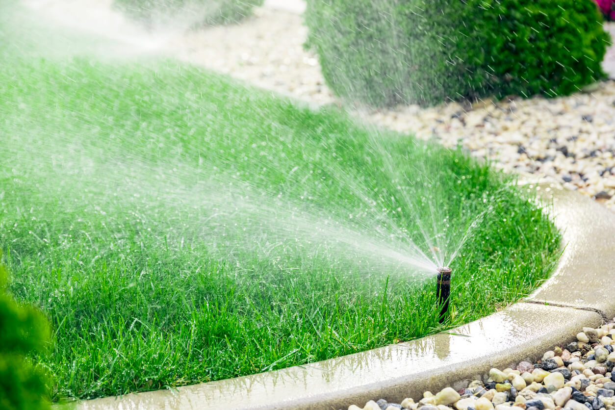 Sprinklers watering grass, green lawn in garden