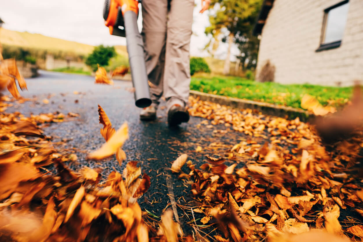 Woman using a leaf blower in the autumn to clear her driveway.