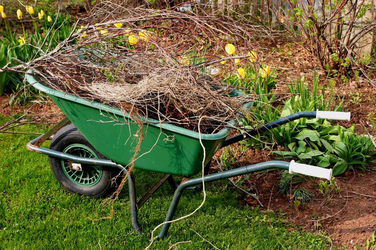 A wheelbarrow full of refuse in the spring garden.