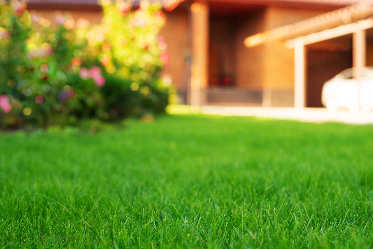 Mowed green frontyard grass before residential suburban house summer sunny day; Mowed green frontyard grass before residential suburban house summer sunny day