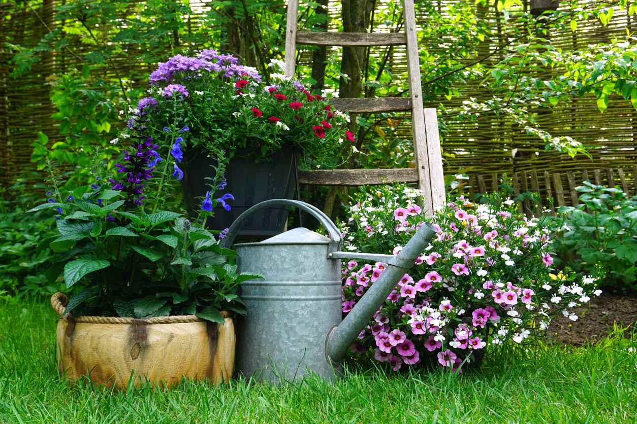 Gardening Concept. Landscaped Garden. Flowers and Plants composition. very decorative gardening picture.