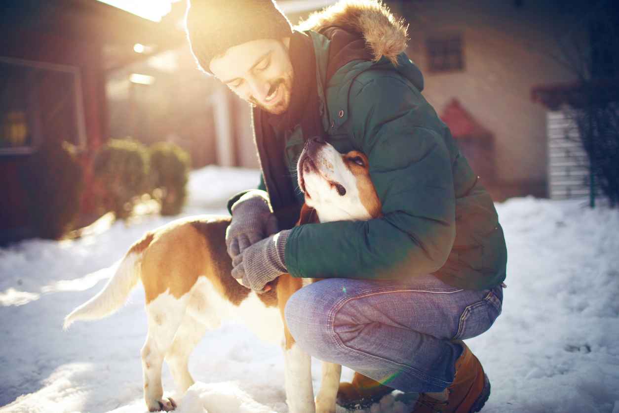 Young man spending holiday season with his dog in their backyard, outdoors on the snow