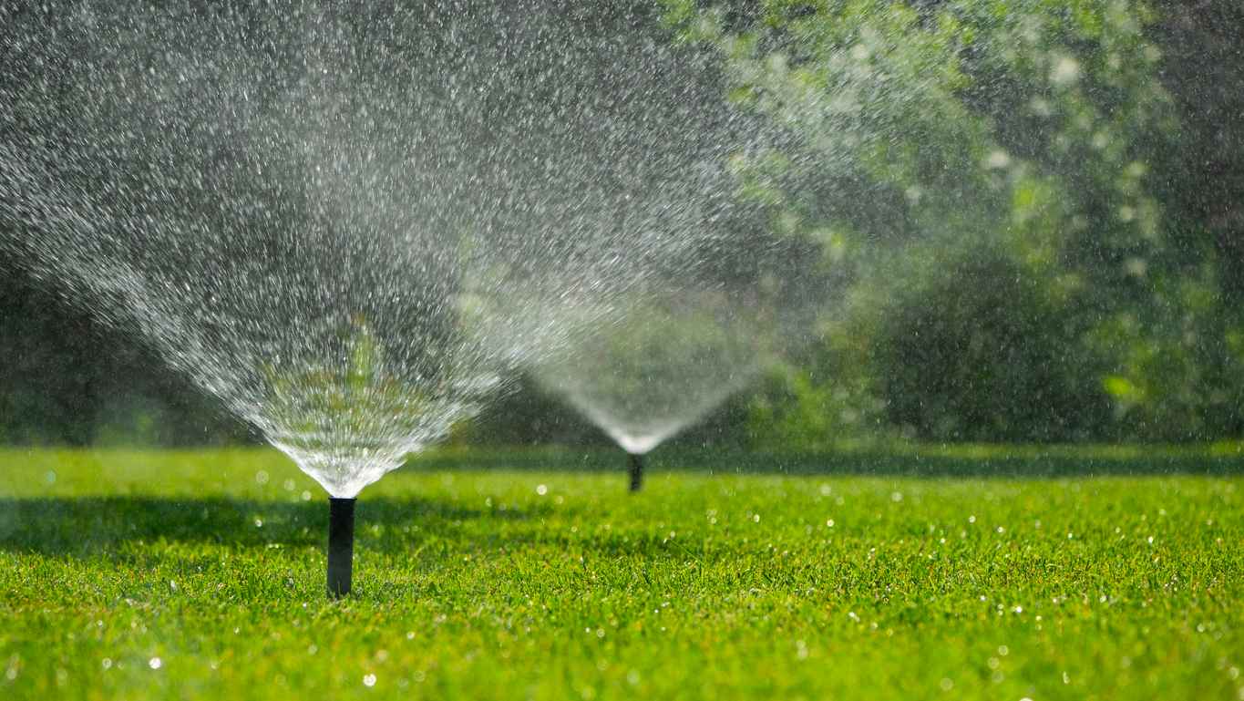 Several automatic sprinklers spray fine droplets of water over a vibrant green lawn on a sunny day. The water droplets glisten in the sunlight, creating a lively and refreshing scene that showcases the care and maintenance of the garden.