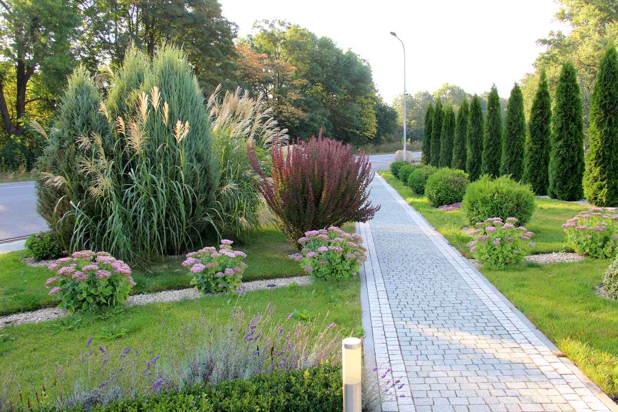 Design of landscaping in the garden, recreation area. Lots of plants, grass, and stone pathway.