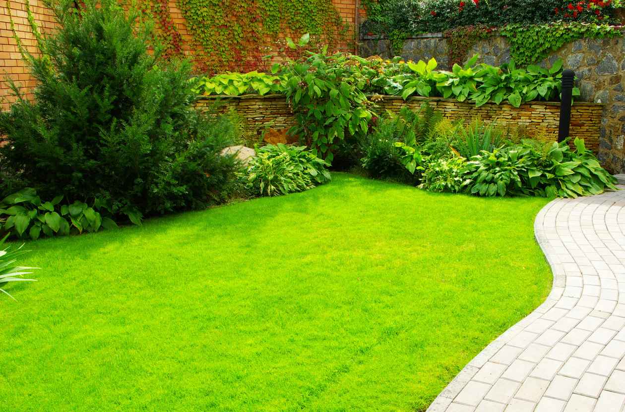 Garden stone path with grass growing up between the stones