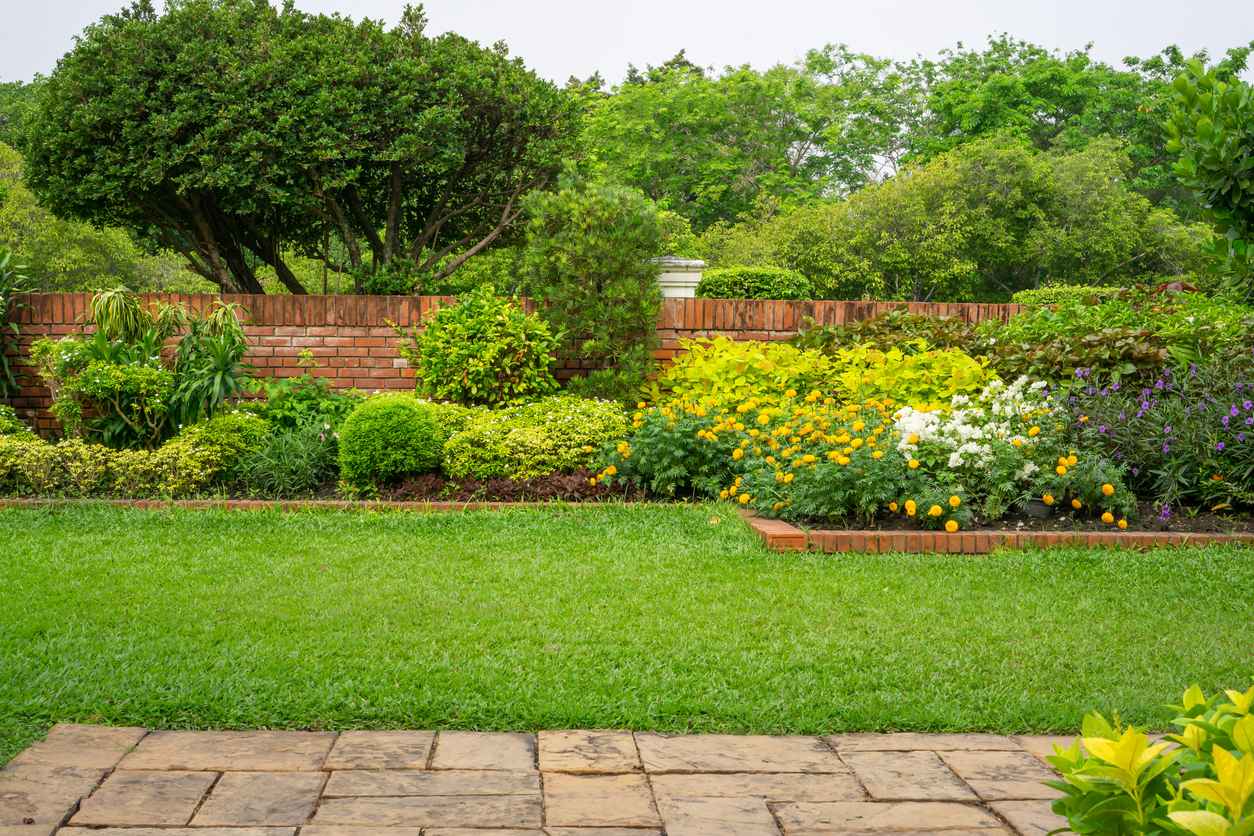 Backyard garden, colorful flowering plant and green grass lawn, brown pavement and orange brick wall, evergreen trees on background, in good care maintenance landscaping