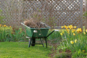 A wheelbarrow in the garden filled with branches and weeds.