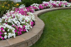 Peink and White petunias on the flower bed along with the grass; Springtime Landscaping Ideas