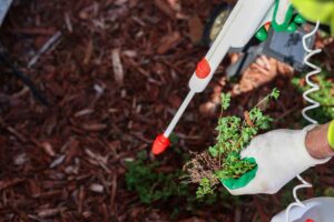 A black man pulling weeds from a garden and spray a pest deterrent; summer pest control tips