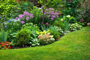 Lush landscaped garden with flowerbed and colorful plants; protecting your plants this summer