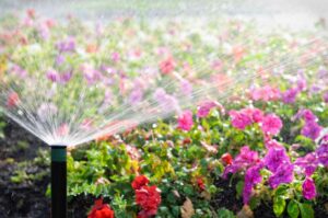 Automatic Sprinkler Watering Flowers; proper irrigation during summer