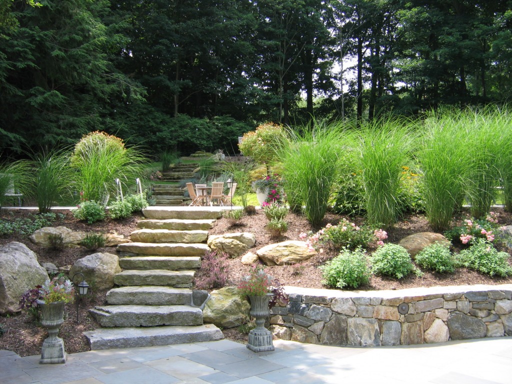 Stone steps through garden