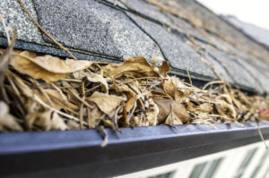 gutters clogged with leaves
