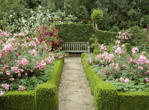 Hedges and flowers lead to bench